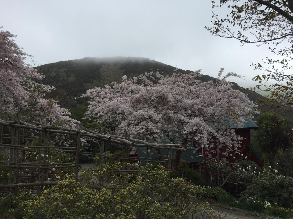 Hereweka Garden Retreat Dunedin Exterior photo